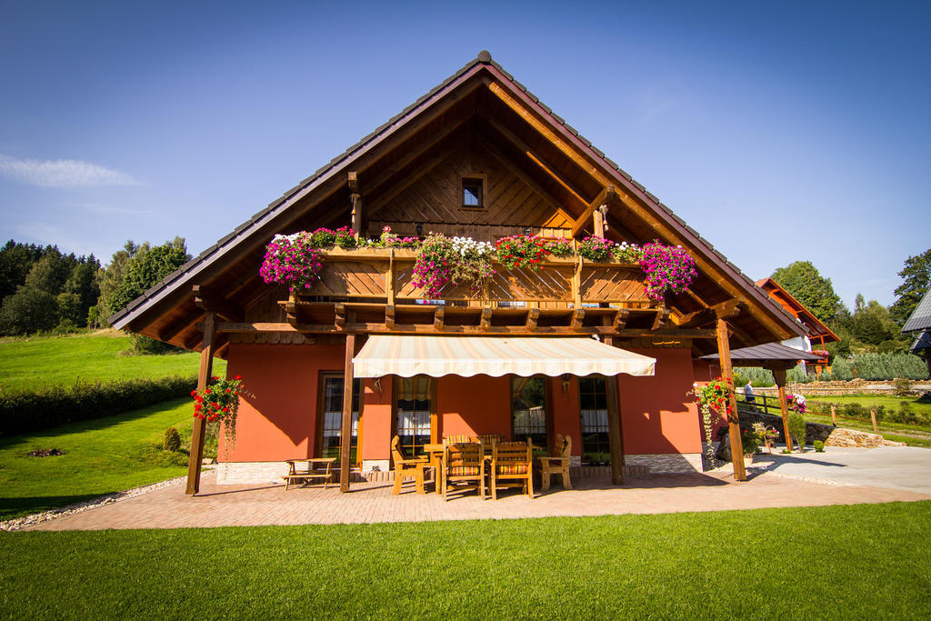 Penzion Major Hotel Rokytnice nad Jizerou Exterior photo